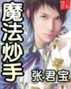 魔法炒手